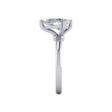 Platinum-Talon-Prong