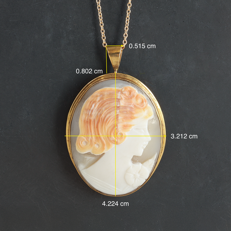 10k-9k Yellow Gold & Cameo Shell Interchangeable Brooch/Necklace Pendant