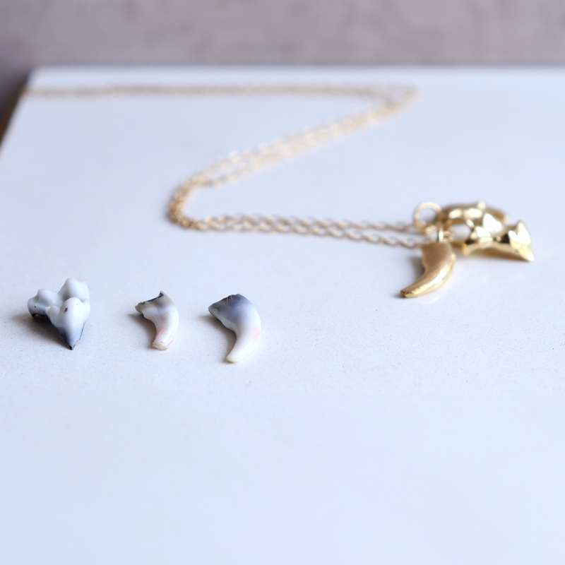 Ethical Jewellery & Engagement Rings Toronto - Puppy Teeth Charms - FTJCo Fine Jewellery & Goldsmiths