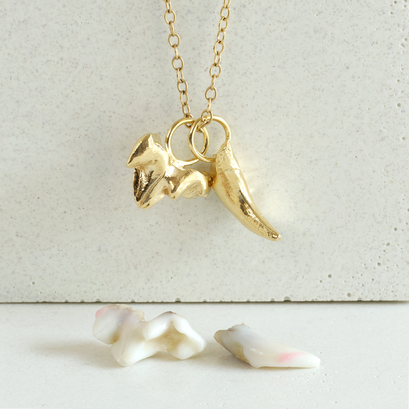 Ethical Jewellery & Engagement Rings Toronto - Puppy Teeth Charms - FTJCo Fine Jewellery & Goldsmiths