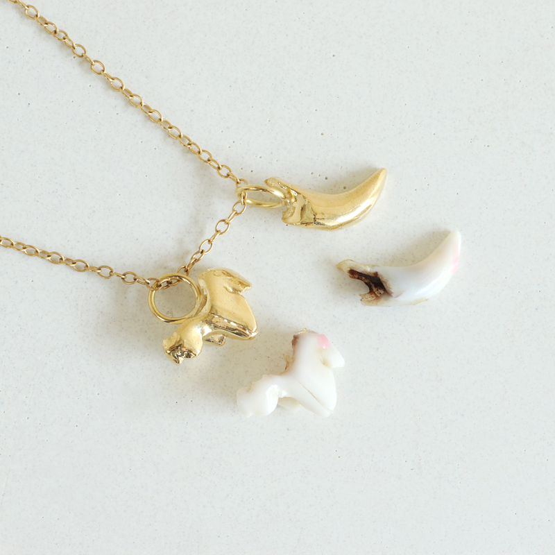 Ethical Jewellery & Engagement Rings Toronto - Puppy Teeth Charms - FTJCo Fine Jewellery & Goldsmiths