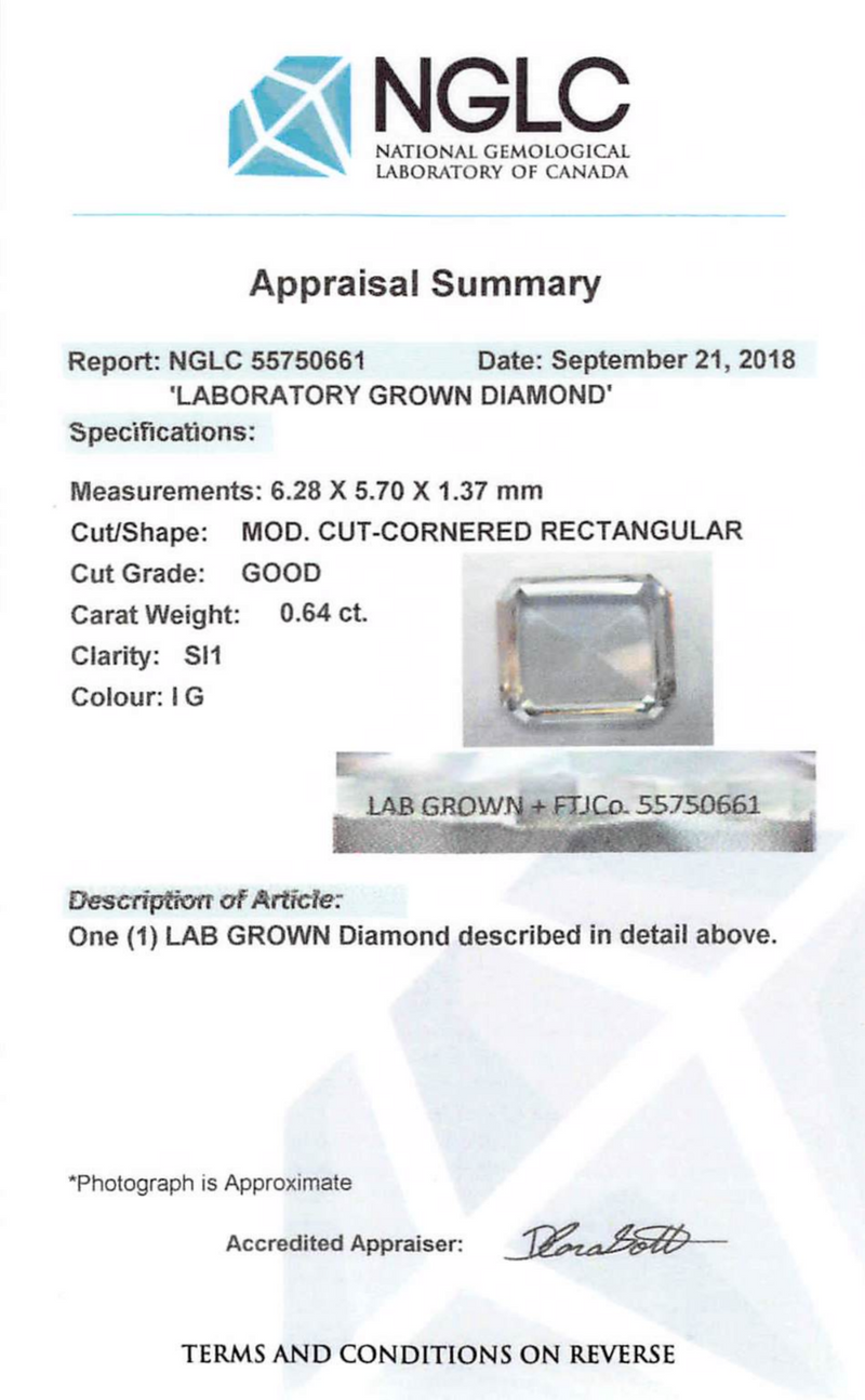 0.64 ct Near Colourless Rectangular Cut-Corner Rose Cut Fancy Lab Grown Diamond