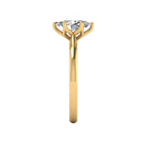 Yellow-Talon-Prong