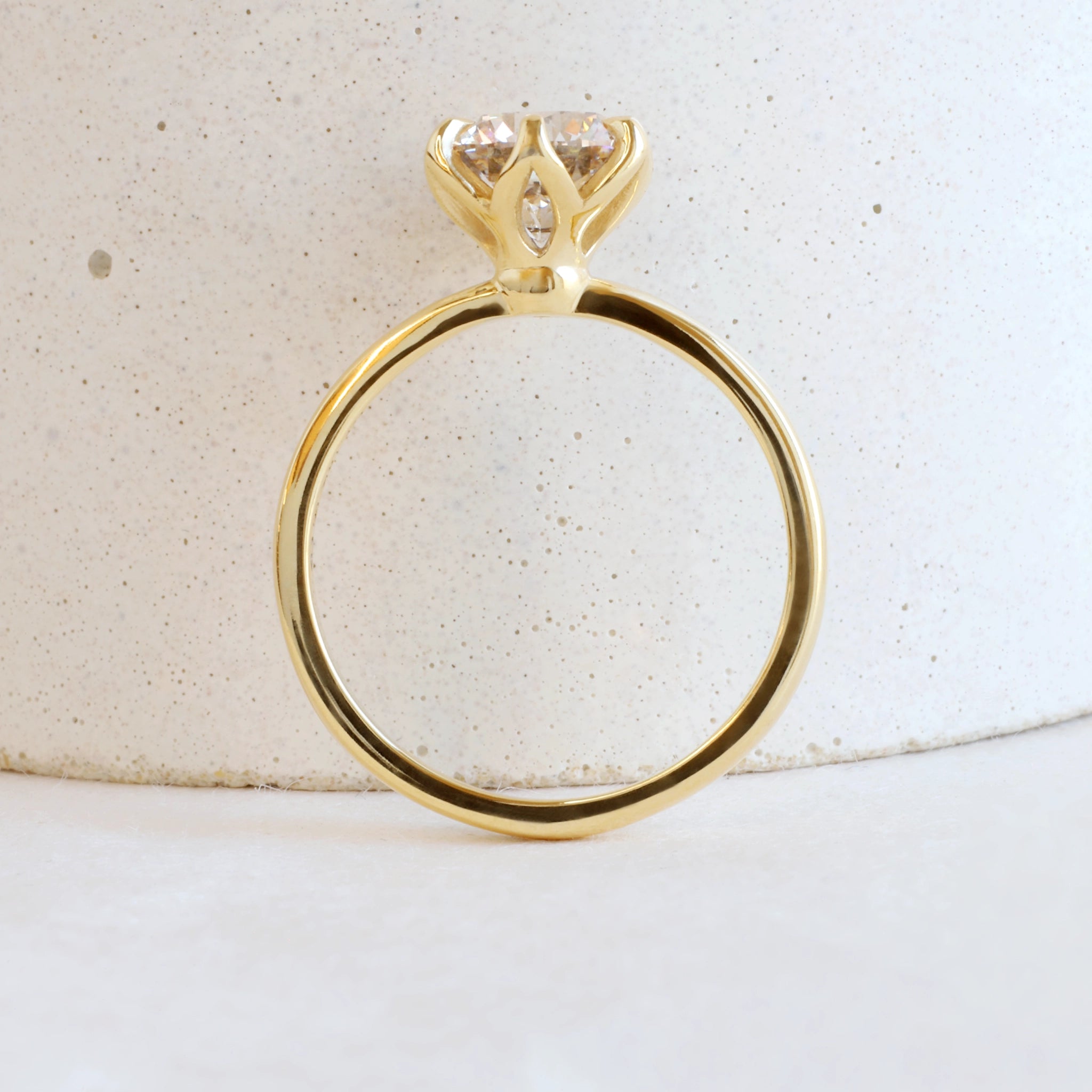 nuts Briesta Champagne Diamond S908_7copy.webp?v=1734557470