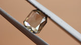 0.70 ct Silver Bay Leaf Octagon Rose Cut Diamond